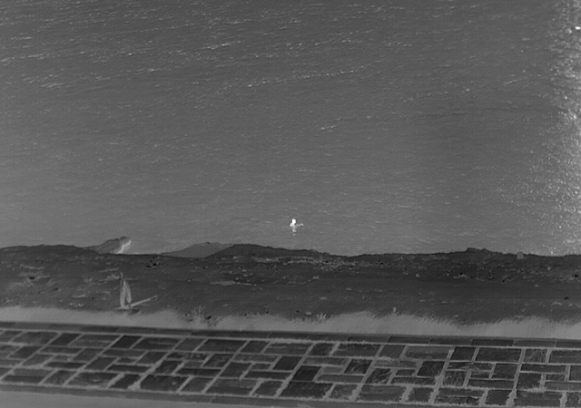 Thermal image of man in water during search and rescue