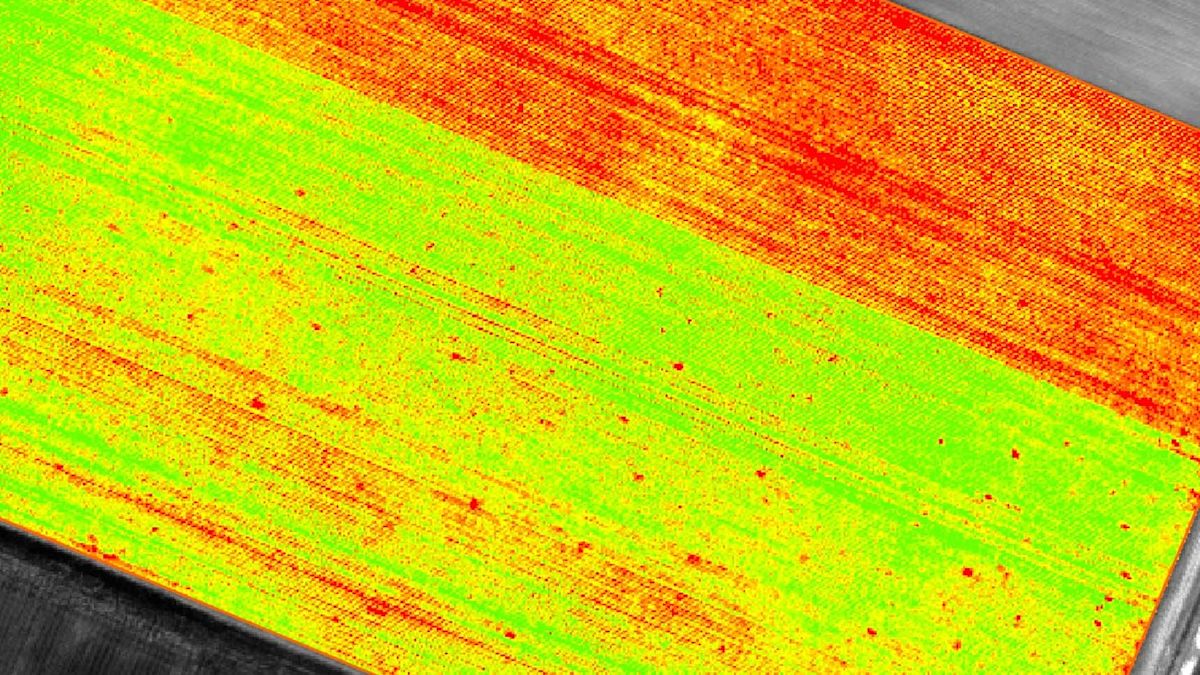 IMAGE_OUTPUTS_PIX4DMAPPER_indexmaps