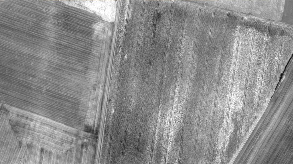 IMAGE_OUTPUTS_PIX4DMAPPER_reflectance